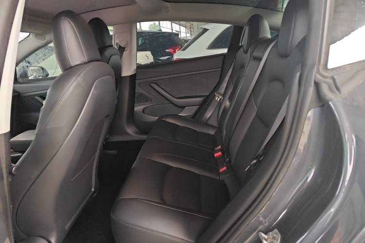 Used Tesla Model 3 2020 Standard Range Rear-Wheel Drive Upgraded Version Left Rear Seat