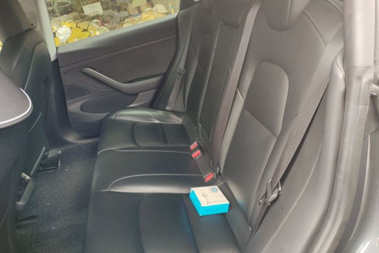 Used Tesla Model 3 2020 Standard Range Rear-Wheel Drive Upgraded Version Left Rear Seat