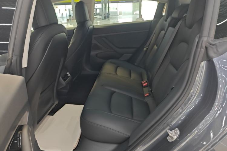 Used Tesla Model 3 2020 Revised Version Standard Range Rear-Wheel Drive – Upgraded Edition Left Rear Seat