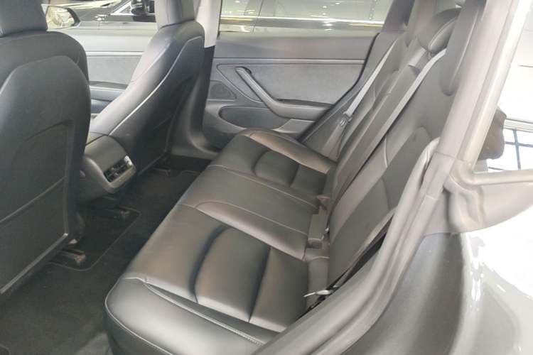 Used Tesla Model 3 2020 Standard Range Rear-Wheel Drive Upgraded Version Left Rear Seat