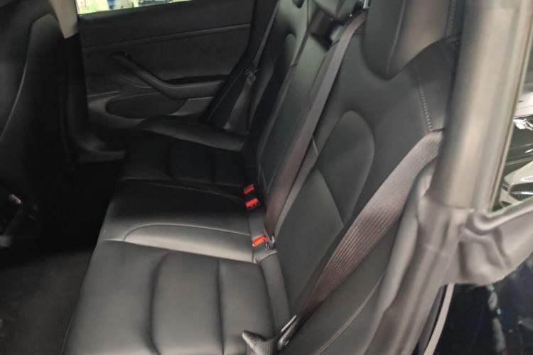 Used Tesla Model 3 2020 Standard Range Rear-Wheel Drive Upgraded Version Left Rear Seat
