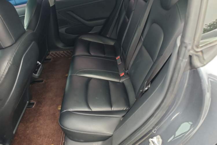 Used Tesla Model 3 2020 Standard Range Rear-Wheel Drive Upgraded Version Left Rear Seat