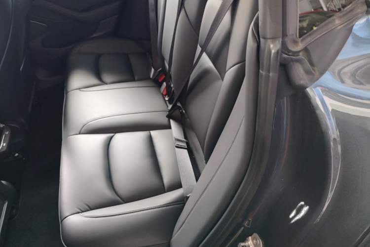 Used Tesla Model 3 2020 Revised Version Standard Range Rear-Wheel Drive – Upgraded Edition Left Rear Seat
