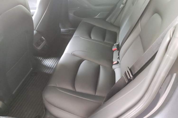 Used Tesla Model 3 2020 Revised Version Standard Range Rear-Wheel Drive – Upgraded Edition Left Rear Seat