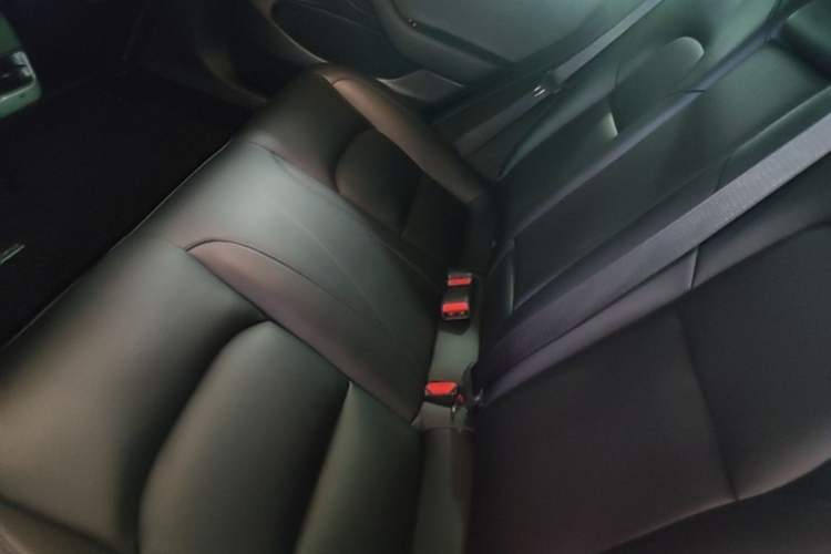 Used Tesla Model 3 2020 Standard Range Rear-Wheel Drive Upgraded Version Left Rear Seat