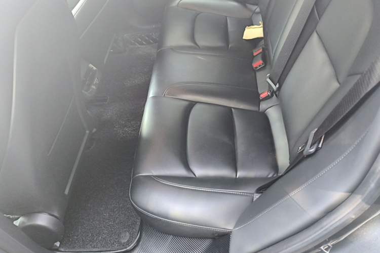 Used Tesla Model 3 2020 Refreshed Version Long-Range Rear-Wheel Drive Left Rear Seat