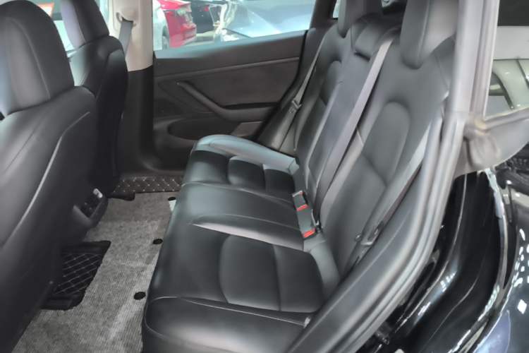 Used Tesla Model 3 2020 Revised Version Standard Range Rear-Wheel Drive – Upgraded Edition Left Rear Seat