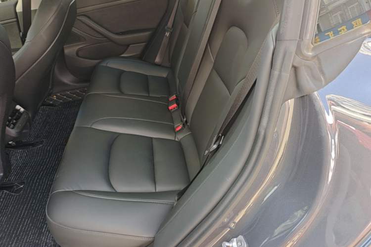 Used Tesla Model 3 2020 Revised Version Standard Range Rear-Wheel Drive – Upgraded Edition Left Rear Seat
