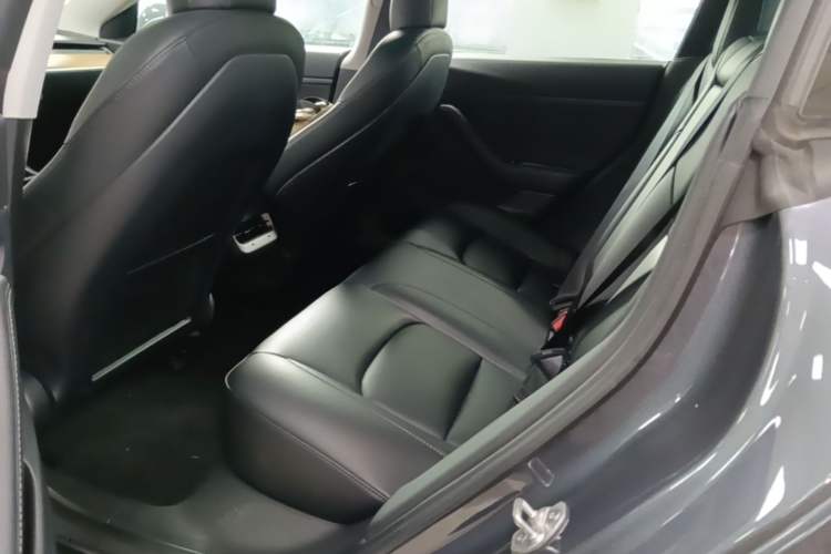 Used Tesla Model 3 2020 Refreshed Version Long-Range Rear-Wheel Drive Left Rear Seat