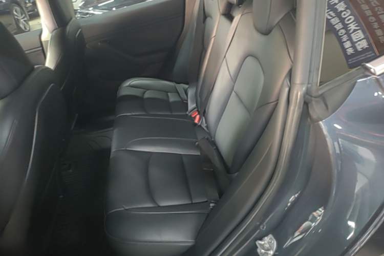 Used Tesla Model 3 2020 Revised Version Standard Range Rear-Wheel Drive – Upgraded Edition Left Rear Seat