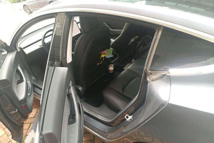 Used Tesla Model 3 2020 Standard Range Rear-Wheel Drive Upgraded Version Left Rear Seat