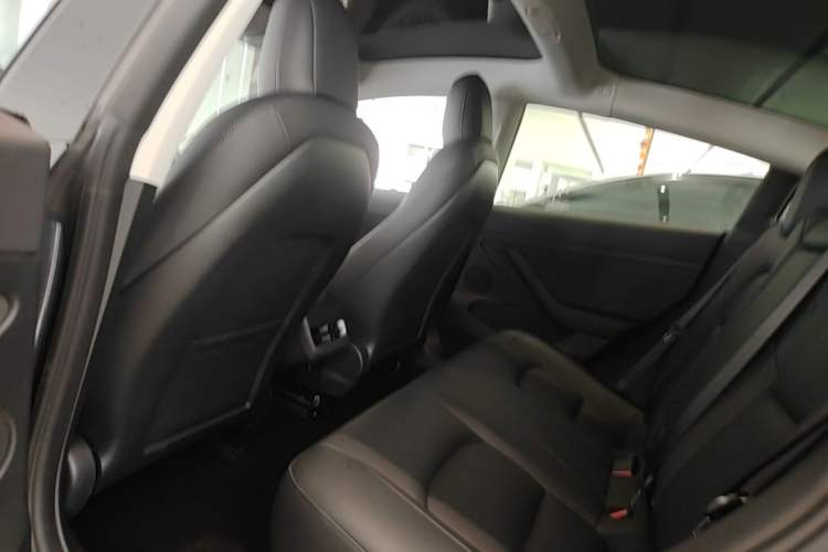 Used Tesla Model 3 2020 Revised Version Standard Range Rear-Wheel Drive – Upgraded Edition Left Rear Seat