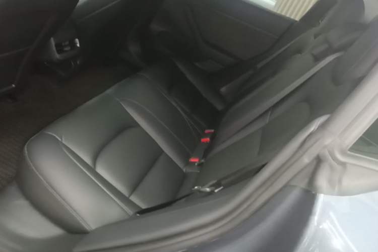 Used Tesla Model 3 2020 Revised Version Standard Range Rear-Wheel Drive – Upgraded Edition Left Rear Seat