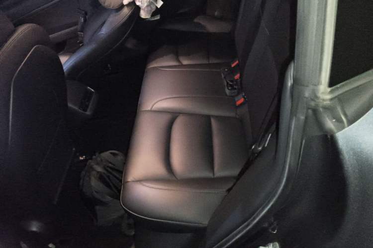 Used Tesla Model 3 2020 Revised Version Standard Range Rear-Wheel Drive – Upgraded Edition Left Rear Seat