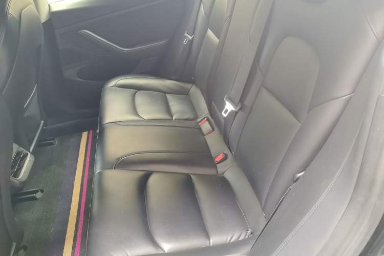 Used Tesla Model 3 2020 Standard Range Rear-Wheel Drive Upgraded Version Left Rear Seat
