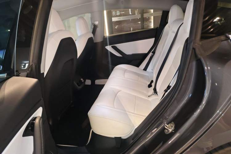 Used Tesla Model 3 2020 Revised Version Standard Range Rear-Wheel Drive – Upgraded Edition Left Rear Seat