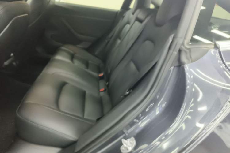 Used Tesla Model 3 2020 Standard Range Rear-Wheel Drive Upgraded Version Left Rear Seat