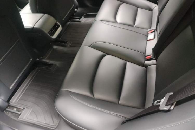 Used Tesla Model 3 2020 Standard Range Rear-Wheel Drive Upgraded Version Left Rear Seat