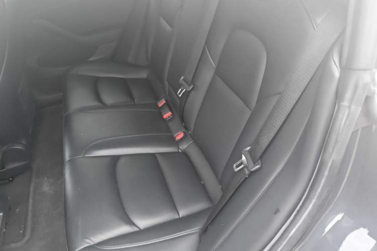 Used Tesla Model 3 2020 Revised Version Standard Range Rear-Wheel Drive – Upgraded Edition Left Rear Seat