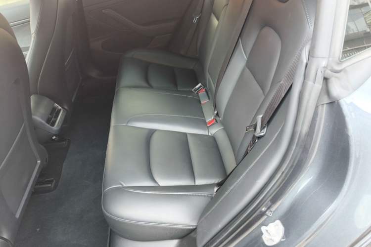 Used Tesla Model 3 2020 Standard Range Rear-Wheel Drive Upgraded Version Left Rear Seat