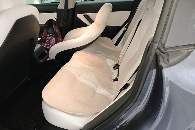 Used Tesla Model 3 2020 Refreshed Version Long-Range Rear-Wheel Drive Left Rear Seat