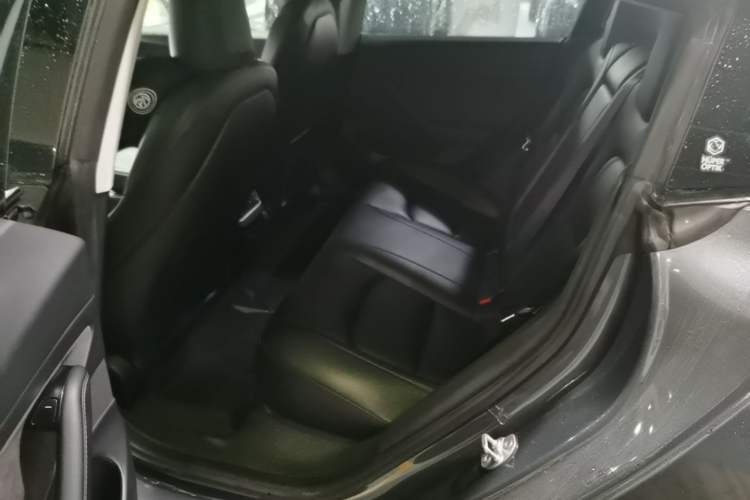 Used Tesla Model 3 2020 Refreshed Version Long-Range Rear-Wheel Drive Left Rear Seat