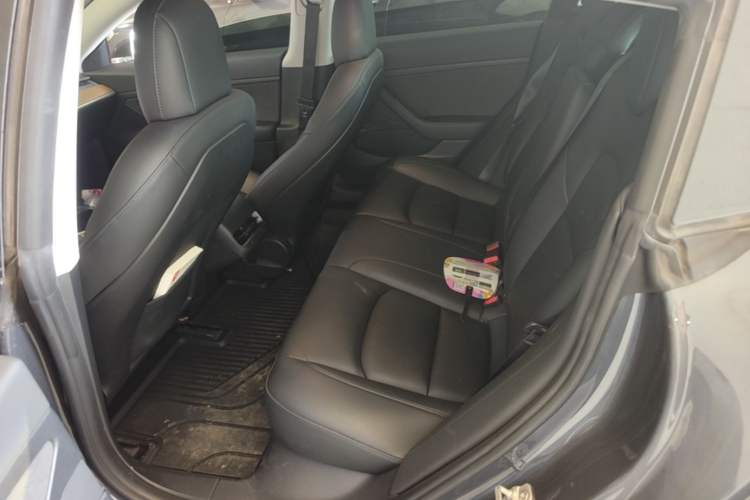 Used Tesla Model 3 2020 Revised Version Standard Range Rear-Wheel Drive – Upgraded Edition Left Rear Seat