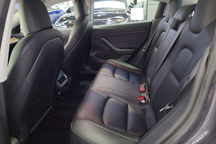 Used Tesla Model 3 2020 Standard Range Rear-Wheel Drive Upgraded Version Left Rear Seat