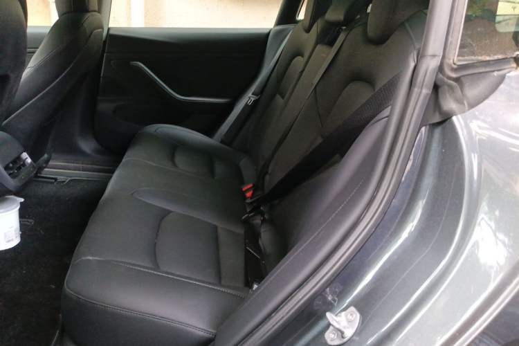 Used Tesla Model 3 2020 Revised Version Standard Range Rear-Wheel Drive – Upgraded Edition Left Rear Seat