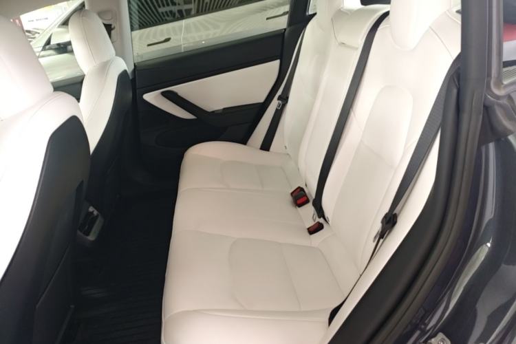 Used Tesla Model 3 2020 Revised Version Standard Range Rear-Wheel Drive – Upgraded Edition Left Rear Seat