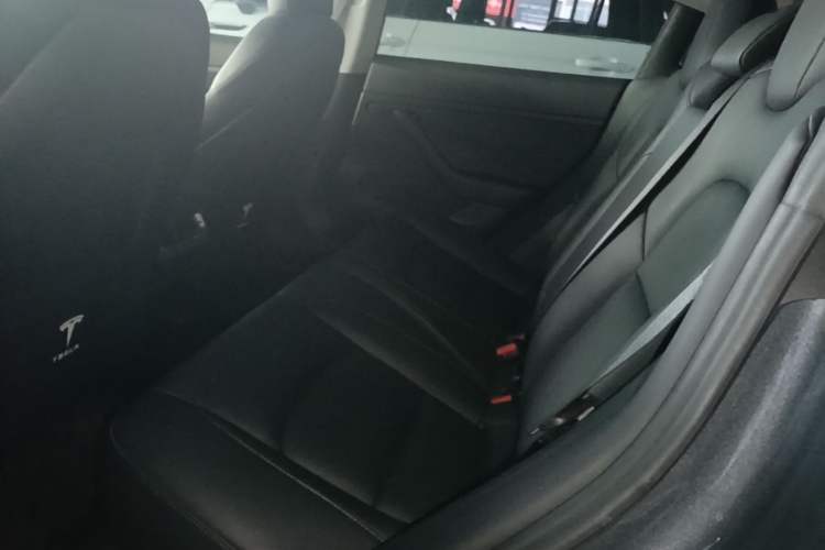 Used Tesla Model 3 2020 Revised Version Standard Range Rear-Wheel Drive – Upgraded Edition Left Rear Seat