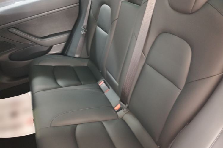 Used Tesla Model 3 2020 Revised Version Standard Range Rear-Wheel Drive – Upgraded Edition Left Rear Seat