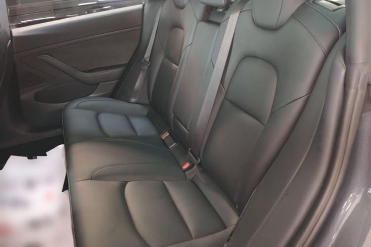 Used Tesla Model 3 2020 Revised Version Standard Range Rear-Wheel Drive – Upgraded Edition Left Rear Seat