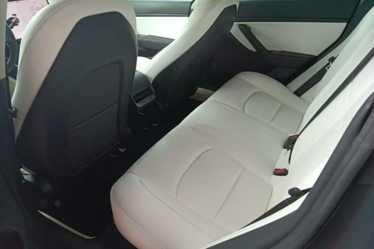 Used Tesla Model 3 2020 Revised Version Standard Range Rear-Wheel Drive – Upgraded Edition Left Rear Seat