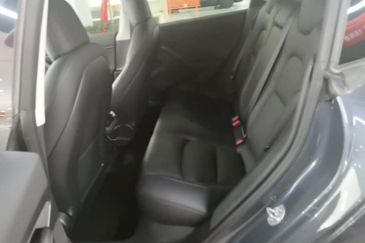 Used Tesla Model 3 2020 Revised Version Standard Range Rear-Wheel Drive – Upgraded Edition Left Rear Seat