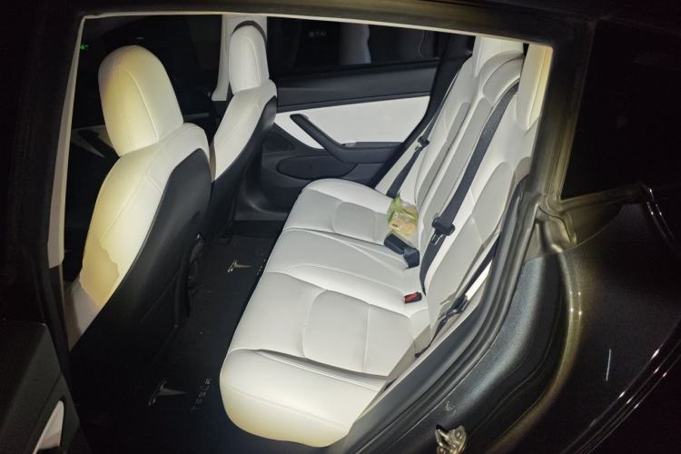 Used Tesla Model 3 2020 Revised Version Standard Range Rear-Wheel Drive – Upgraded Edition Left Rear Seat