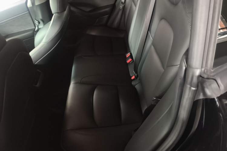 Used Tesla Model 3 2020 Standard Range Rear-Wheel Drive Upgraded Version Left Rear Seat