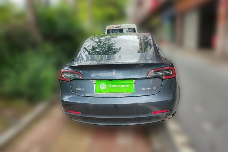 Used Tesla Model 3 2020 Standard Range Rear-Wheel Drive Upgraded Version Rear