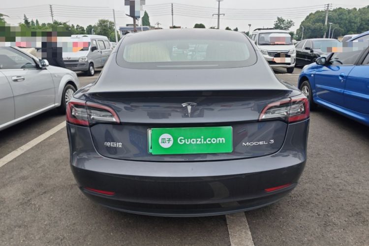 Used Tesla Model 3 2020 Standard Range Rear-Wheel Drive Upgraded Version Rear