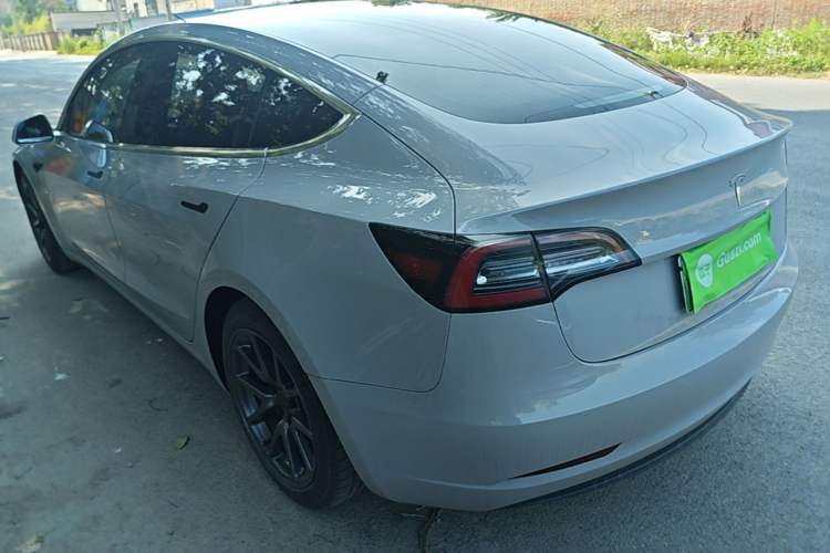 Used Tesla Model 3 2020 Standard Range Rear-Wheel Drive Upgraded Version Rear Left 45 Deg