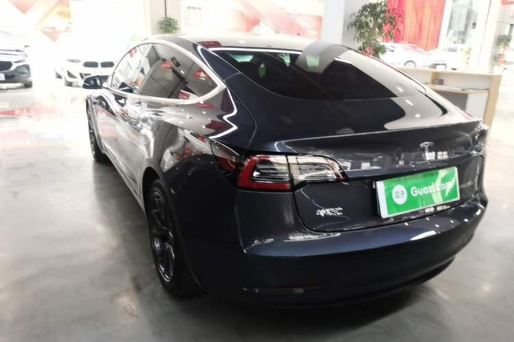 Used Tesla Model 3 2020 Revised Version Standard Range Rear-Wheel Drive – Upgraded Edition Rear Left 45 Deg