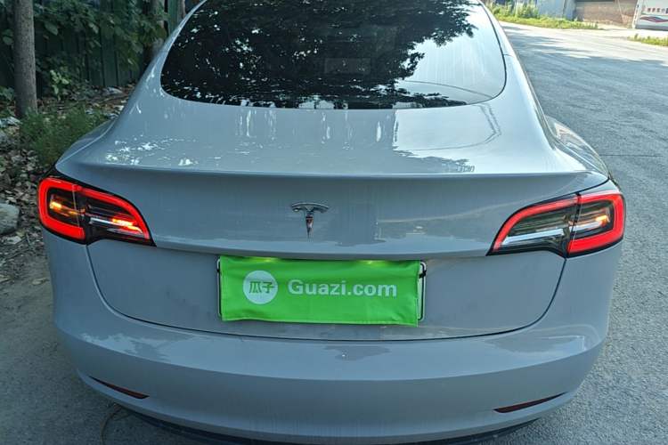Used Tesla Model 3 2020 Standard Range Rear-Wheel Drive Upgraded Version Rear