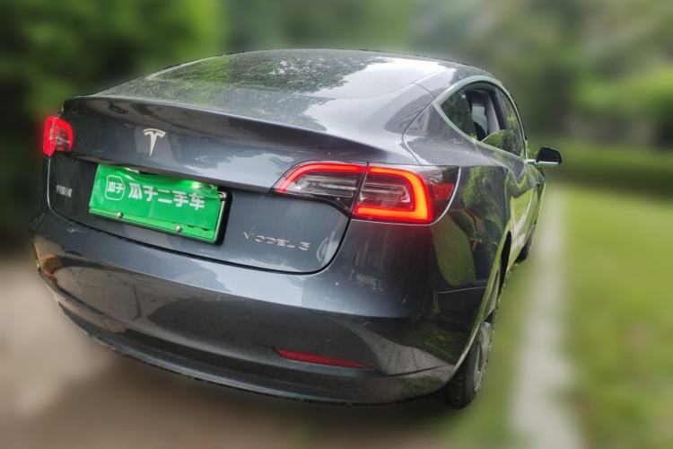Used Tesla Model 3 2020 Standard Range Rear-Wheel Drive Upgraded Version Rear Right 45 Deg