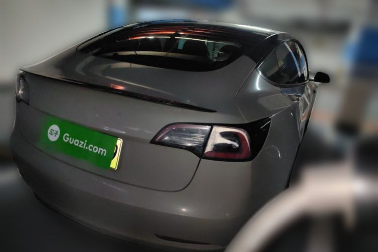 Used Tesla Model 3 2020 Standard Range Rear-Wheel Drive Upgraded Version Rear Right 45 Deg