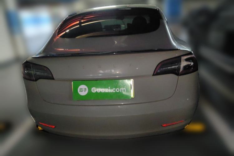 Used Tesla Model 3 2020 Standard Range Rear-Wheel Drive Upgraded Version Rear
