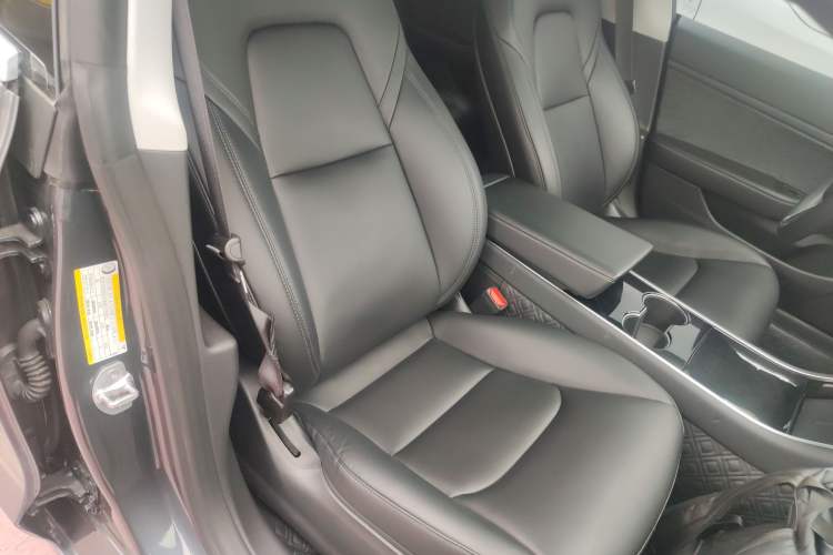 Used Tesla Model 3 2020 Standard Range Rear-Wheel Drive Upgraded Version Right Front Seat