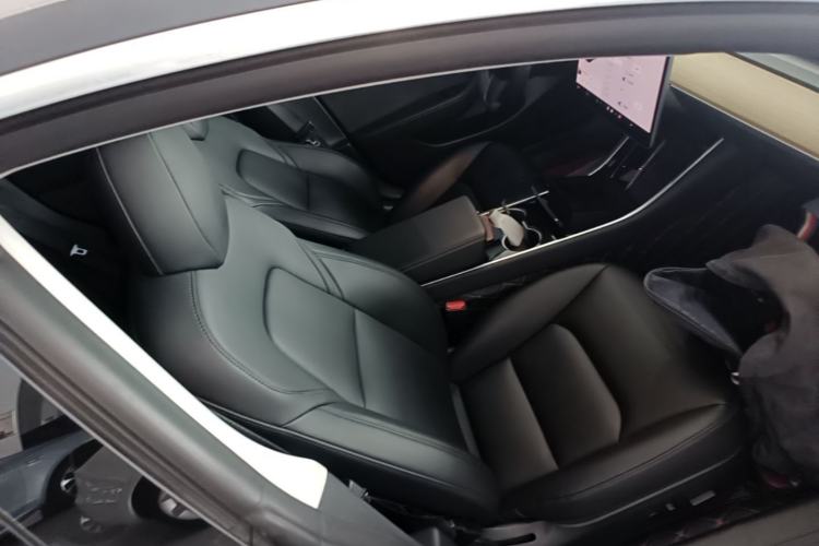 Used Tesla Model 3 2020 Standard Range Rear-Wheel Drive Upgraded Version Right Front Seat