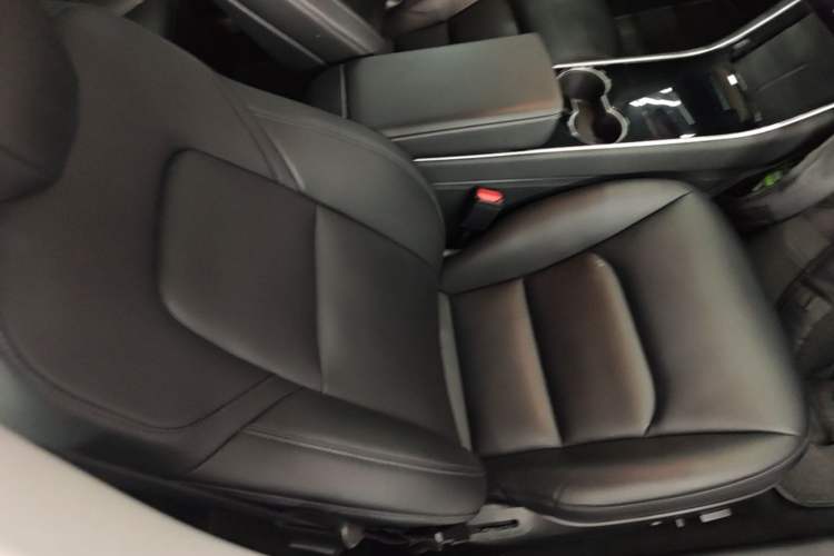 Used Tesla Model 3 2020 Standard Range Rear-Wheel Drive Upgraded Version Right Front Seat