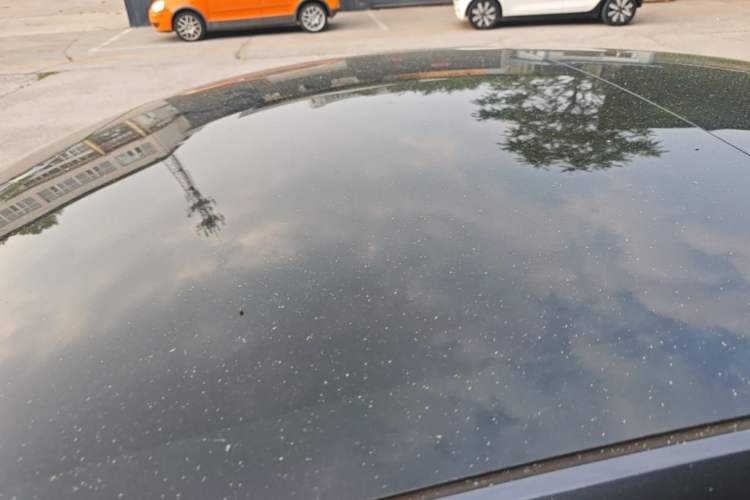 Used Tesla Model 3 2020 Long-Range Rear-Wheel-Drive Version Roof