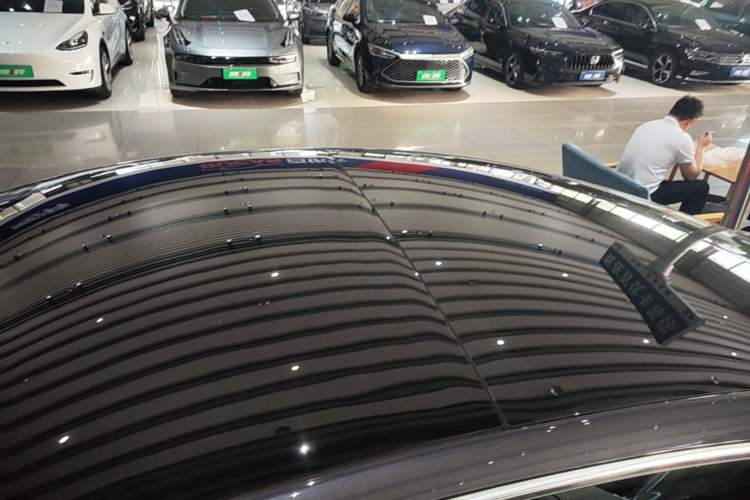 Used Tesla Model 3 2020 Standard Range Rear-Wheel Drive Upgraded Version Roof